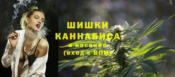 дживик Переславль-Залесский